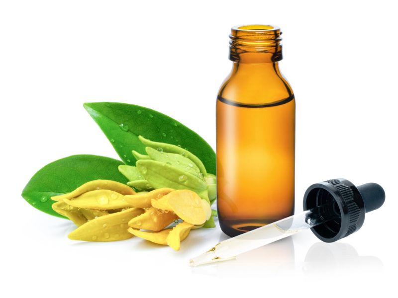ylang ylang yağı