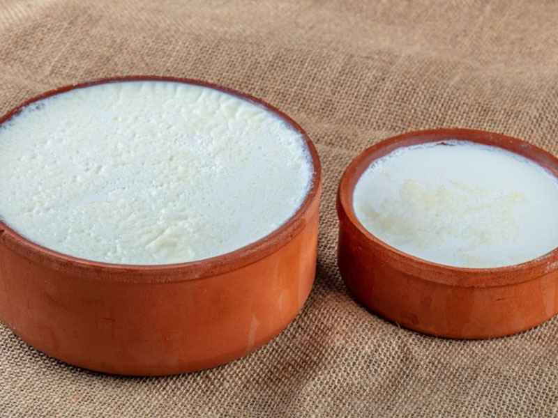 yoğurt 