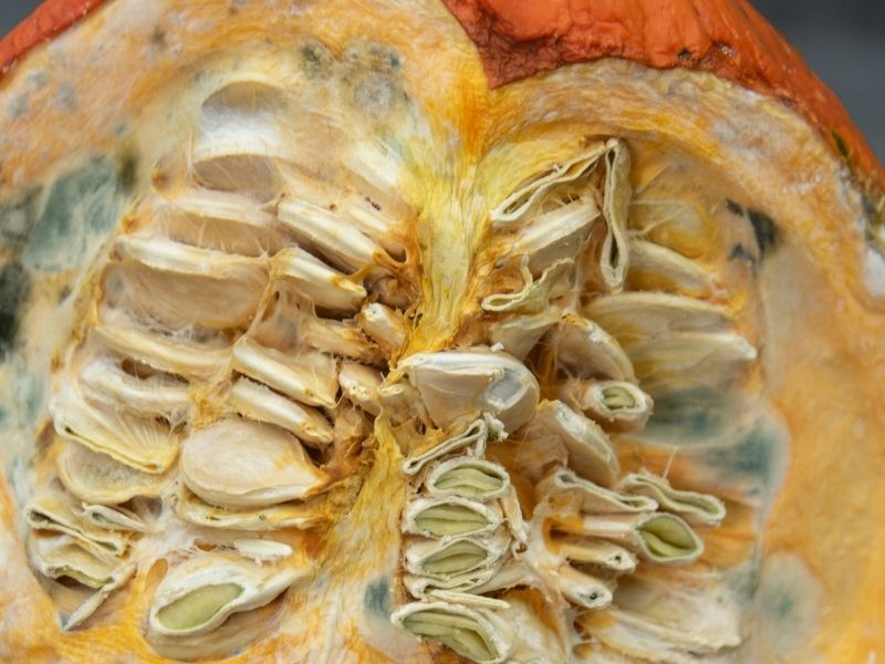 Tadında Farklılık