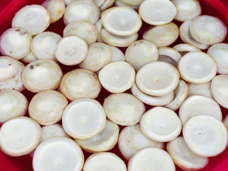 Kurulama Ve Vakumlama: Buz Yanığını Engelleyin