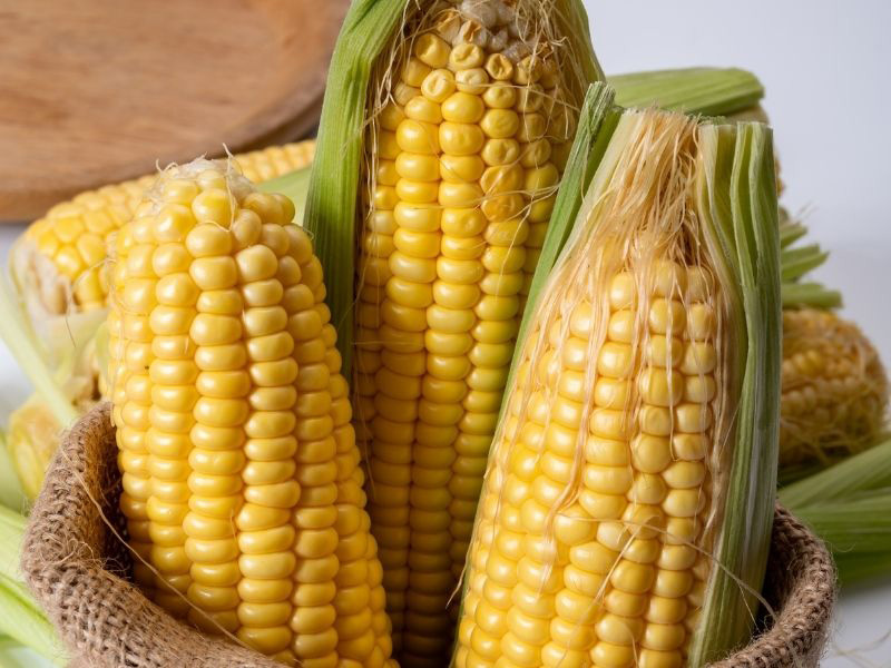 Soğuk Su ile Başlamanın Avantajı
