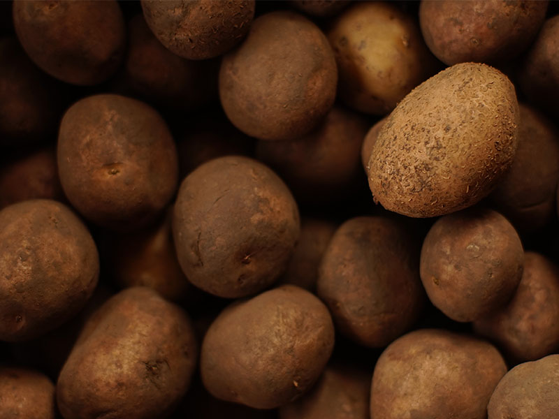 patates