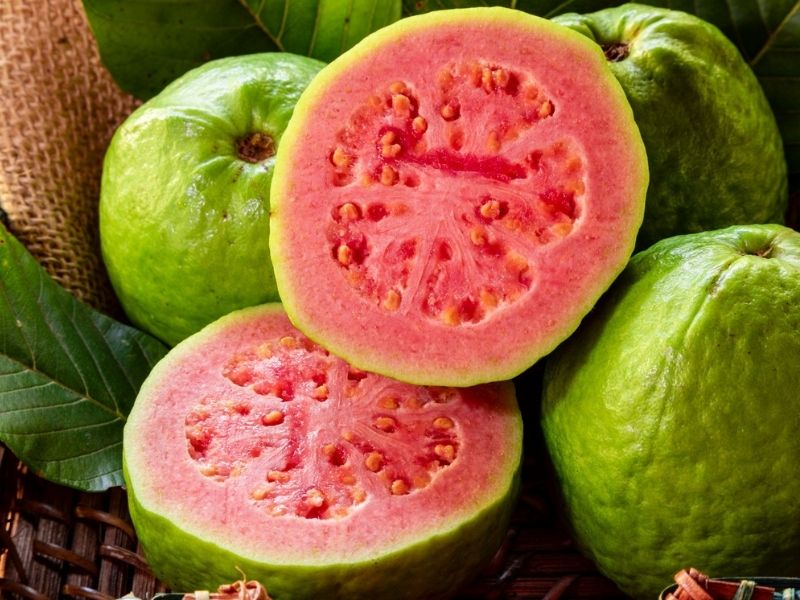 guava