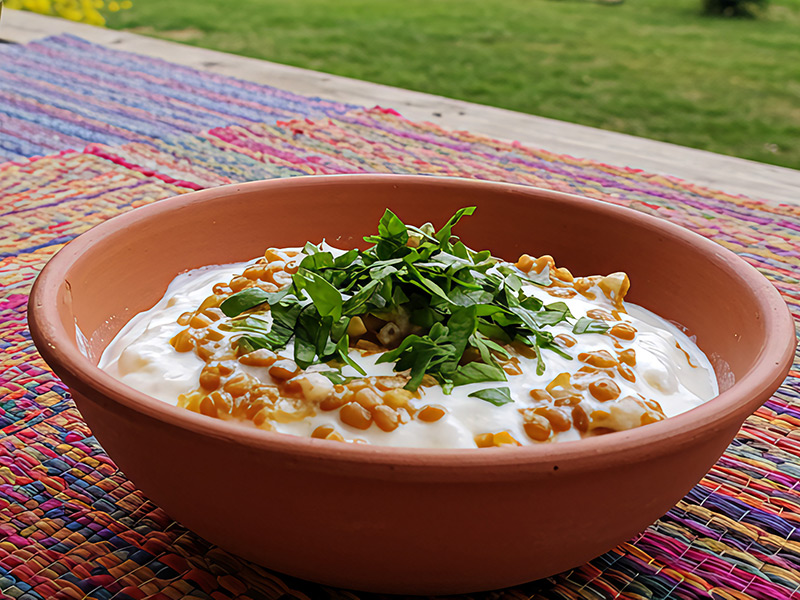 Yoğurtlu Mercimek Salatası