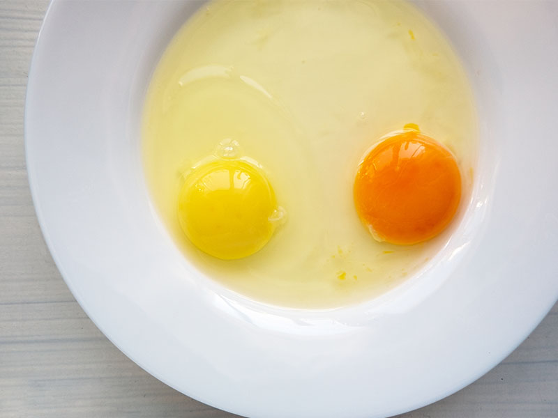 Yetiştirme Metodu Kodu