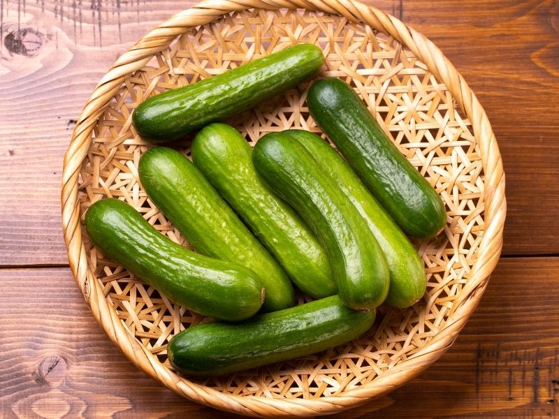 Beyazımsı Tabaka Ve Sinsi Küf Tehlikesi
