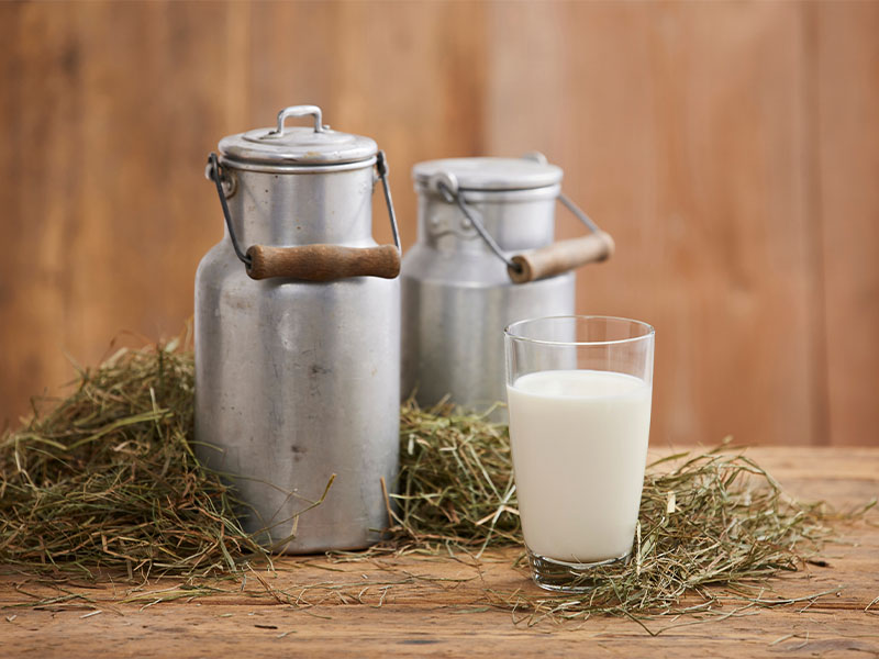 Bir kutu süt miktarı