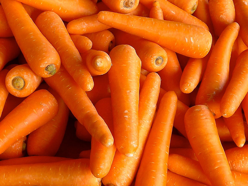 Dilimleyip Su İçinde Saklama