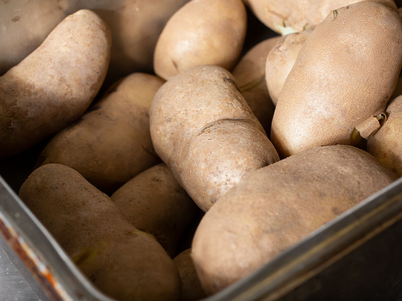 Paketleyip buzluğa yerleştirin