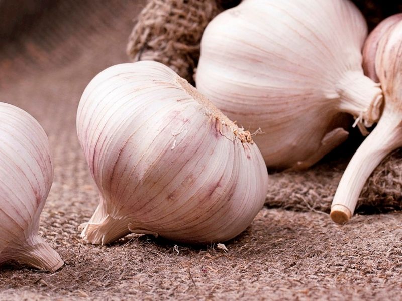 Aglio Bianco Polesano (İtalya) – 3.7