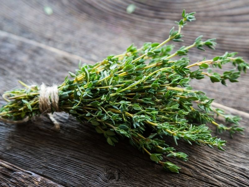 Baharatların zamanlaması