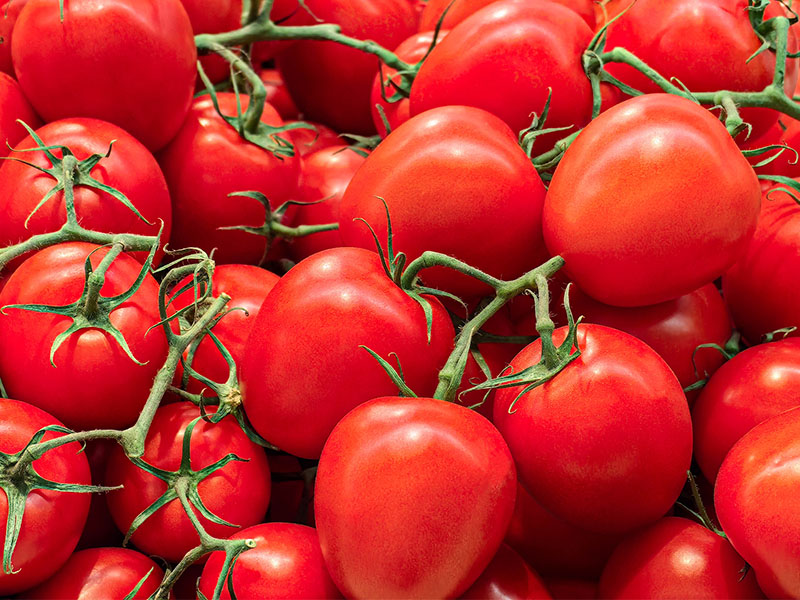 Gölge Kurutmanın Dezavantajları