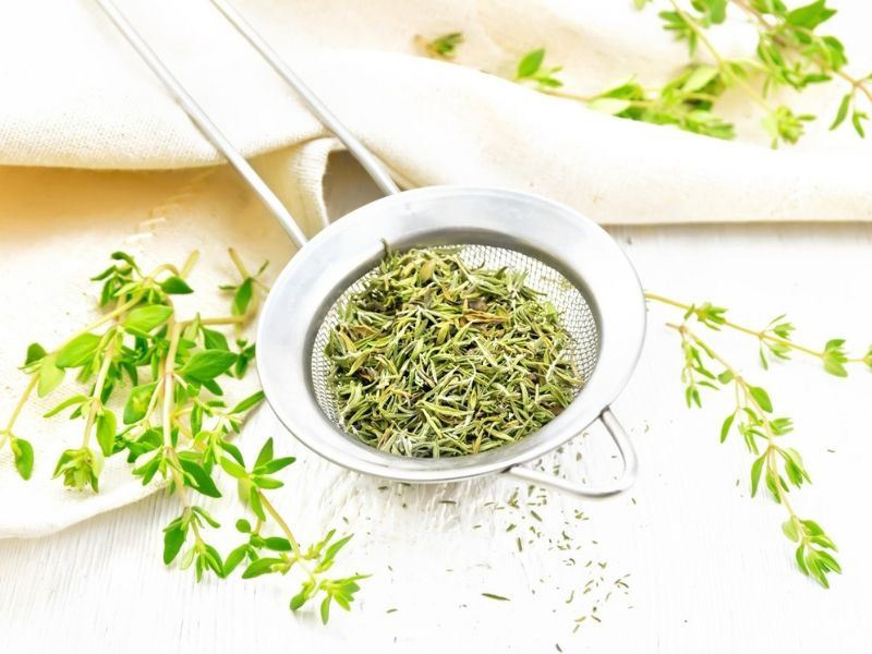 Zahter (Yabani Kekik)