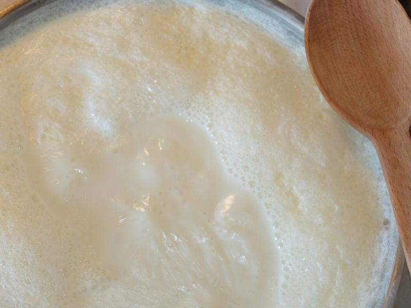 İdeal Mayalanma Isısı Ve Hazırlık Süreci