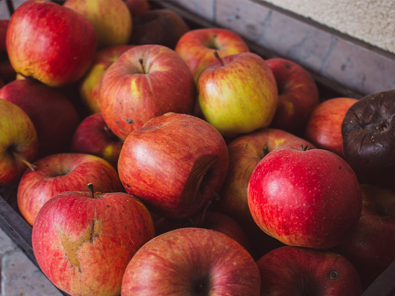 Doğru Saklama Koşulları