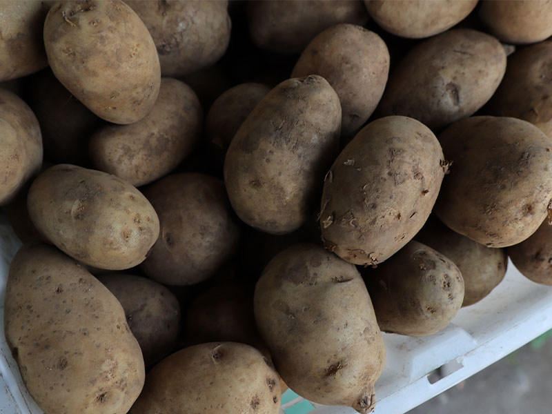 Serin ve Karanlık Ortamda Saklayın