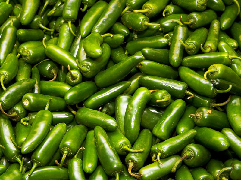 jalapeno 