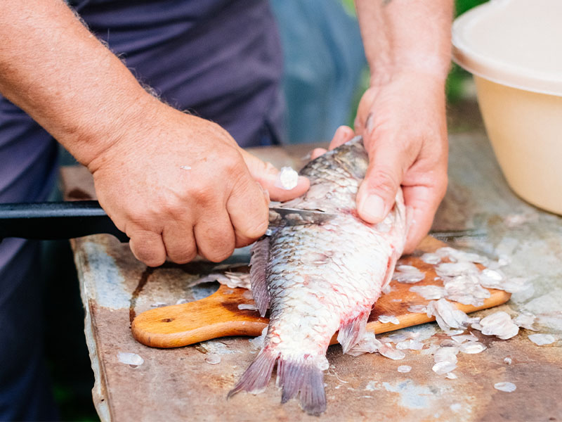 İç Organları Tek Seferde Çıkarın