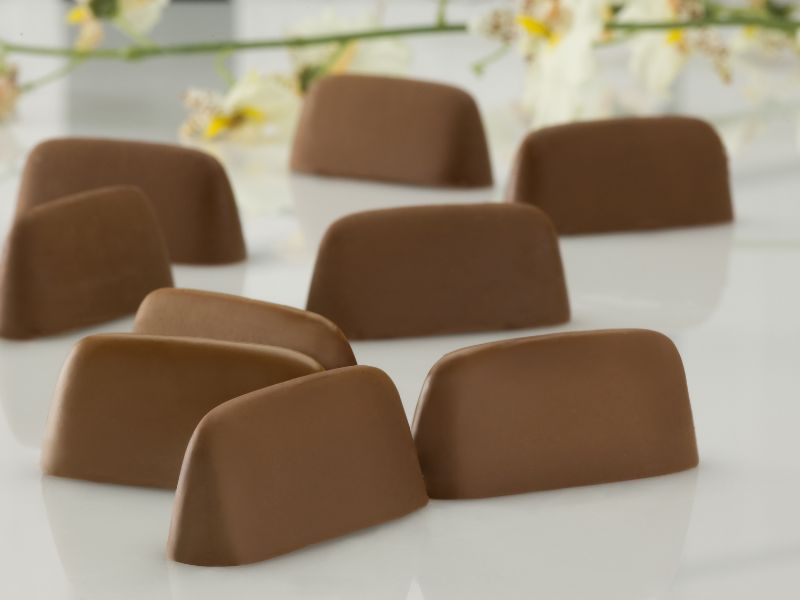 gianduja çikolatası