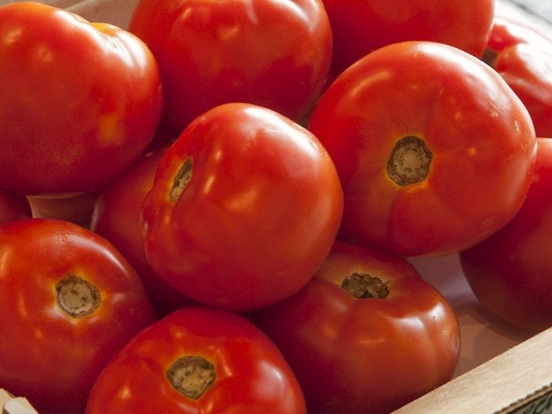 ABD – Louisiana| 3.4