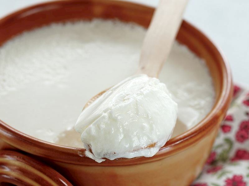 Yoğurt / Kefir