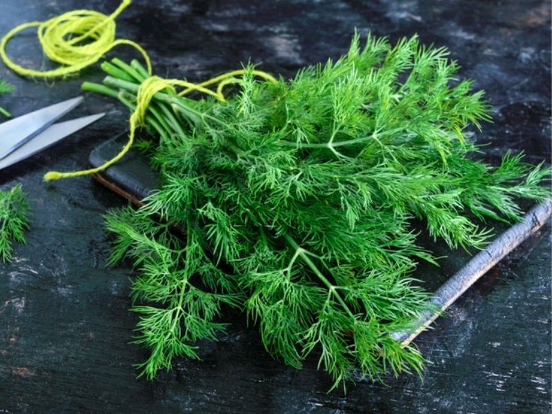 Hafif ve Doğal (taze nane, dereotu, roka, fesleğen)