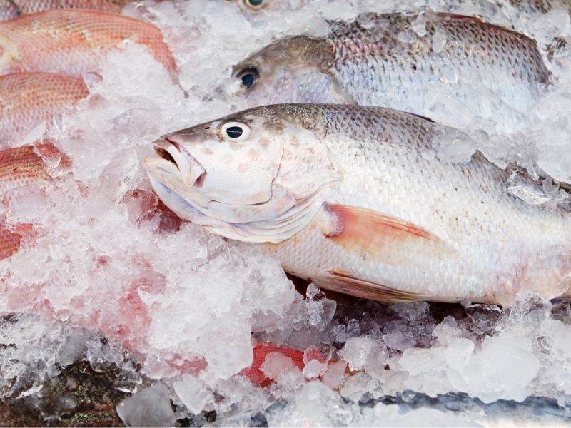 Deniz ürünleri (karides, balık, midye)