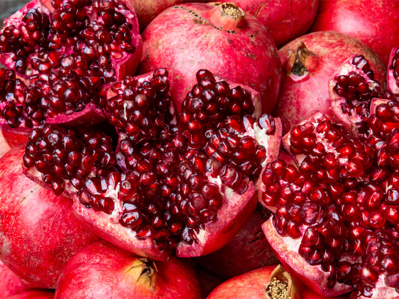 Kabuğu parlak ve canlı olmalı