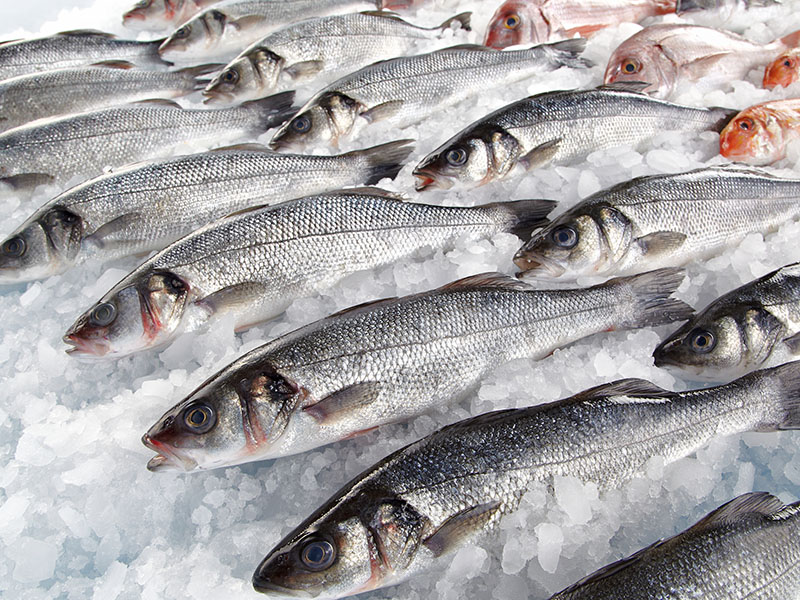 Buz üzerinde saklama