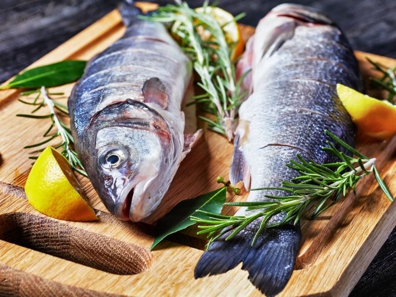 Zeytinyağı Ve Aromatiklerle Nem Dengesi Sağlama