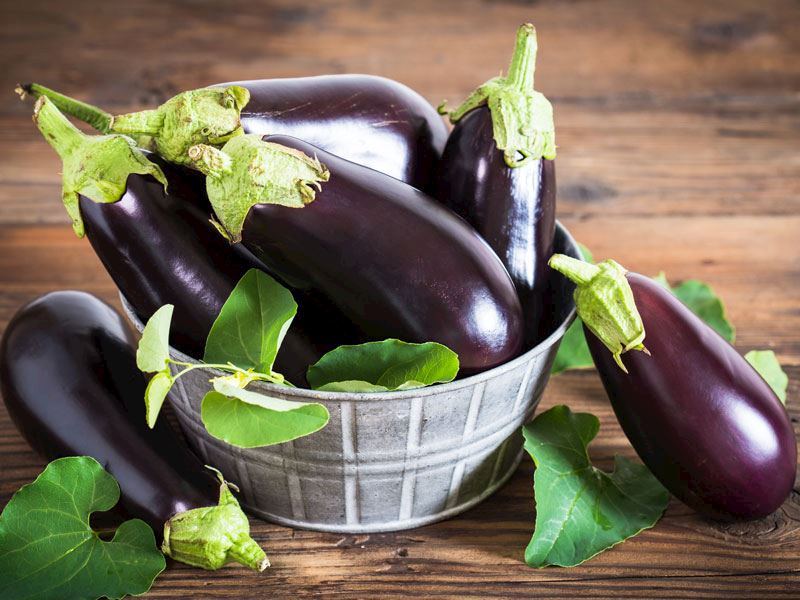 Patlıcan Seçimi ve Közleme