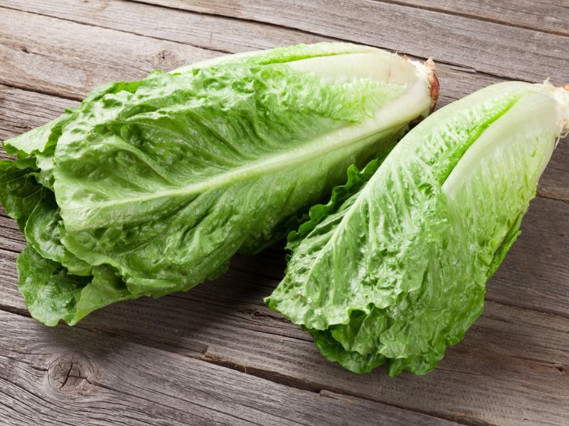 romaine marul