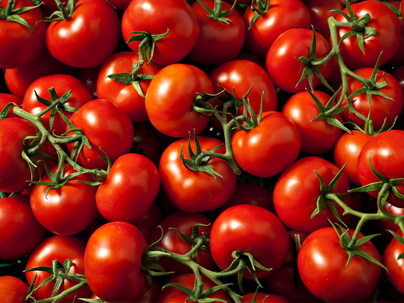 Kurutma Süreci ve Saklama Zamanı