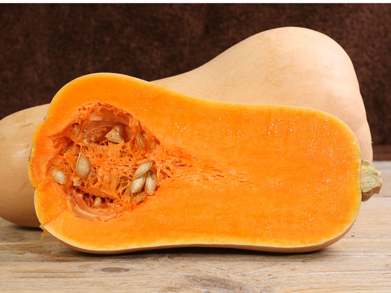 butternut bal kabağı