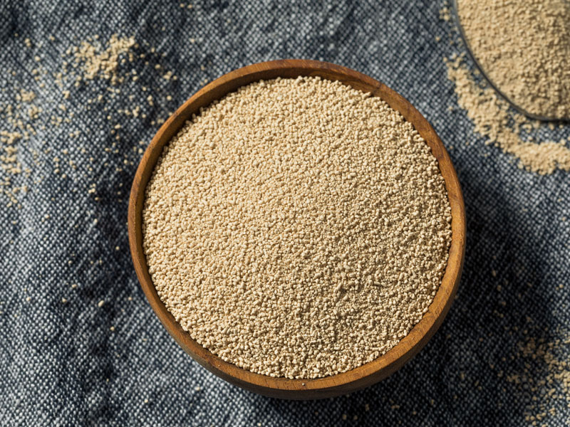 Bayat veya bozuk maya