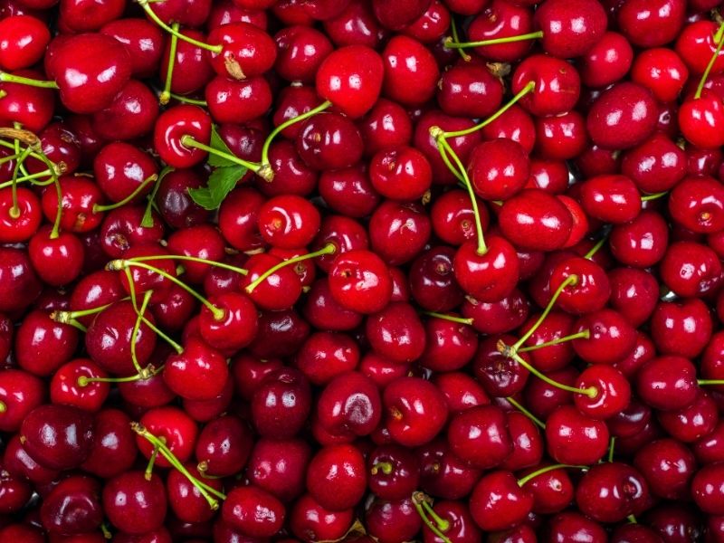 Kiraz Dondurmanın İlk Adımı: Doğru Ayıklama Ve Sap Temizliği