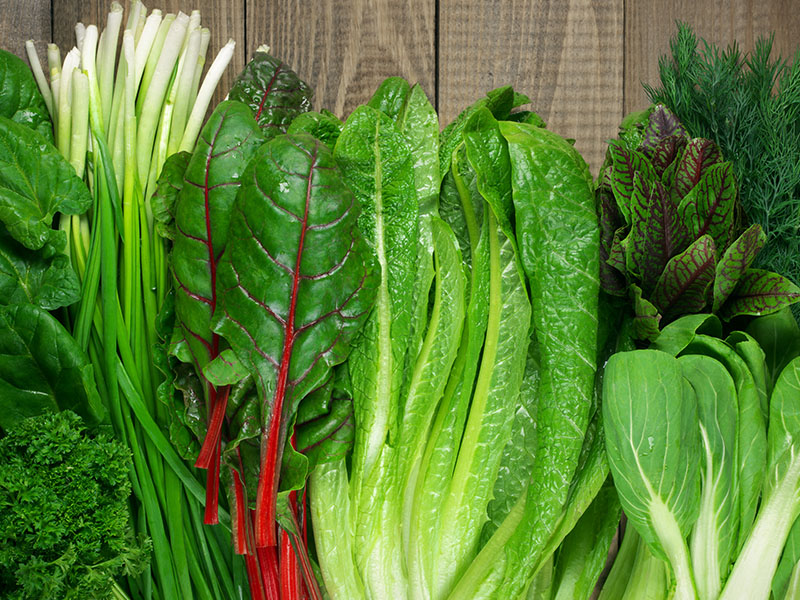 Yeşil Yapraklı Sebzeler