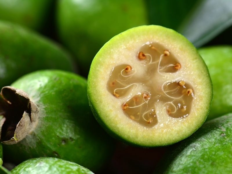 Feijoa  meyvesi