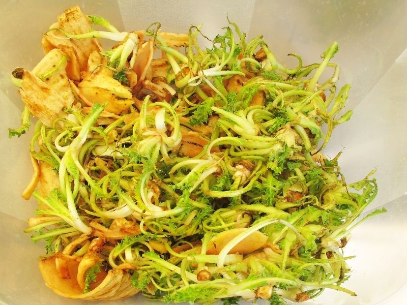 Şevketi Bostan Titizlikle Temizlenmeli