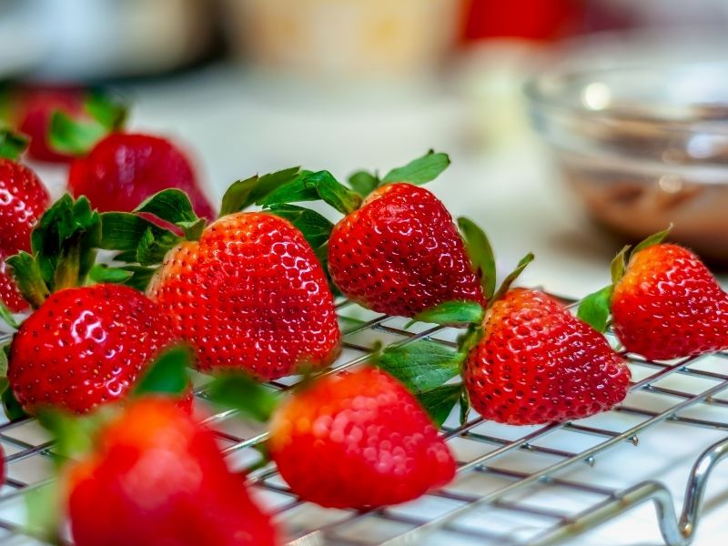 Kurulama Ve Doğru Muhafaza Yöntemi