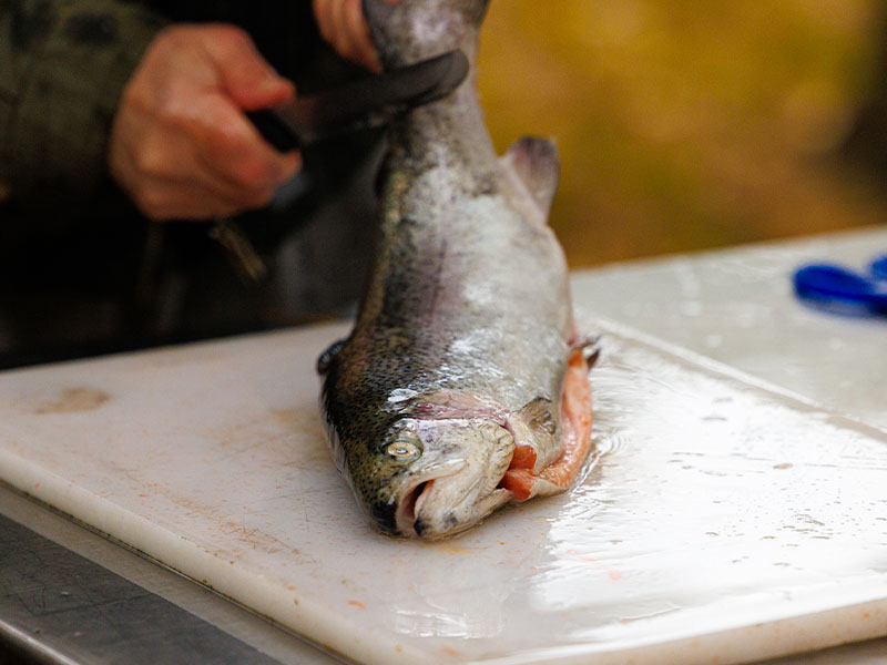 Tek Kullanımlık veya Ayrı Tahta Kullanımı
