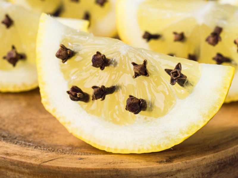 karanfil batırılmış limon