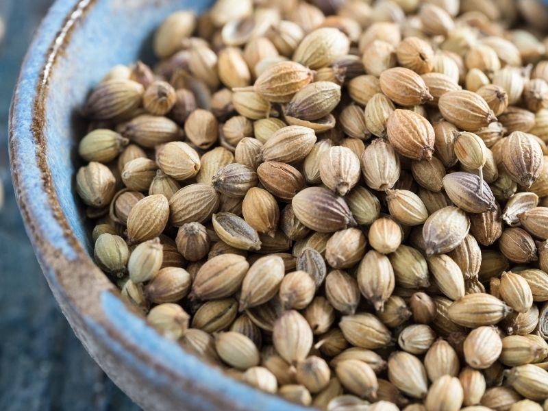 Kişniş Tohumu: Odunsu Ve Fındıksı Notalar