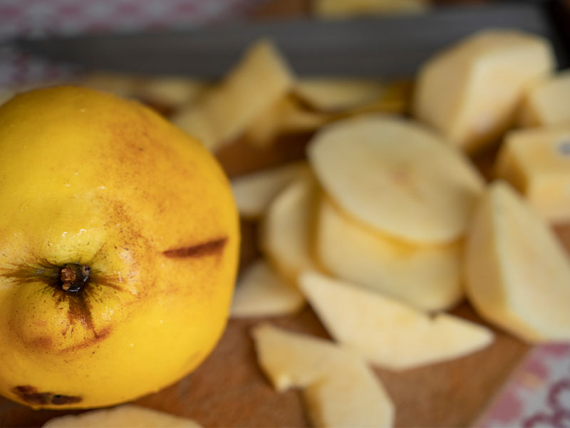 Sap Kısmının Sağlamlığı