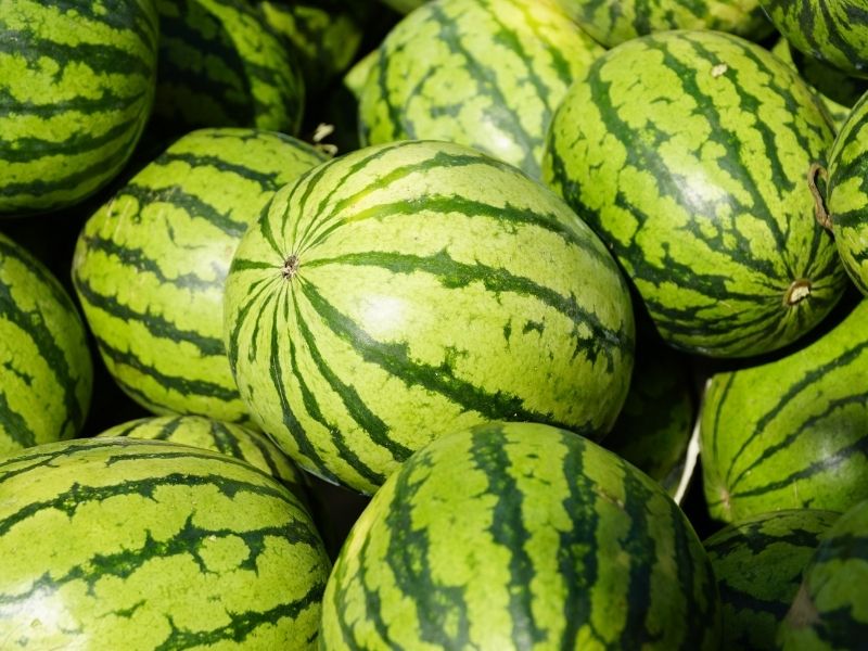 Karpuzun Dış Yüzeyinde Biriken Görünmez Risk Faktörleri