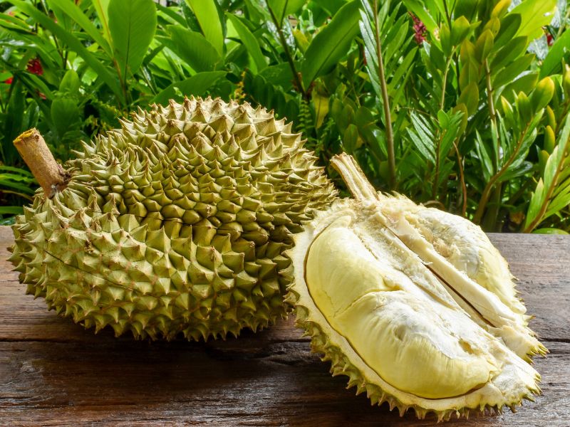 durian meyvesi