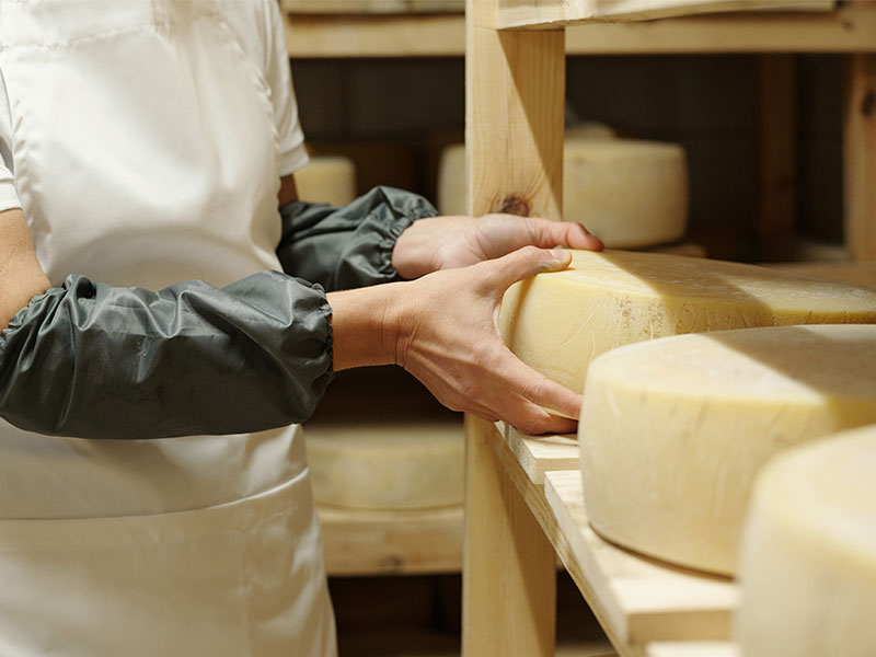 Peynir Verimini Etkileyen Faktörler