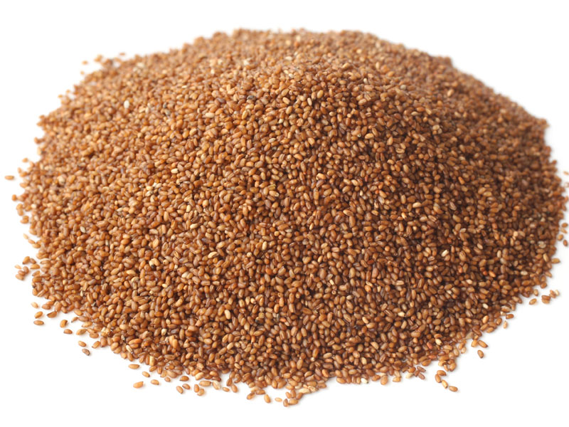 teff tahılı