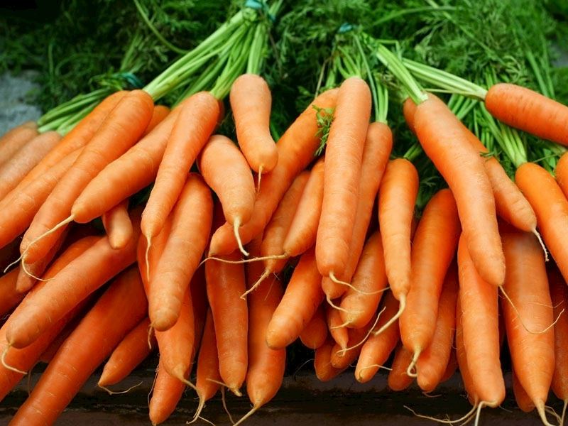 Havu&#231;lar eskiden mor renkteydi