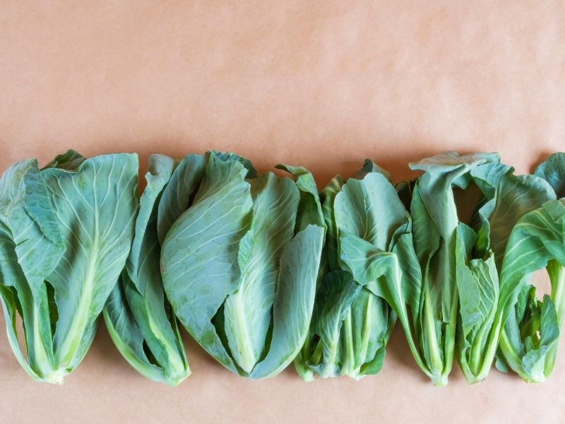 Aromatik Soslama: Zeytinyağı Ve Limonun Kusursuz Dengesi